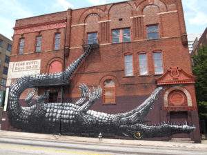 Roa