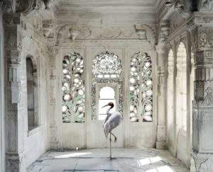 Karen Knorr, Inde, 2008-2014, une place comme Amravati, photographie