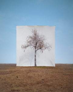Myoung Ho Lee 2006 n°1 photographie