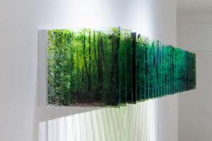 Nobuhiro Nakanishi 2014 lumière de la forêt